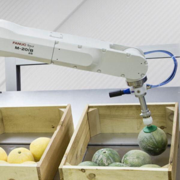 Silverlake Automation- Bin Picking- Fanuc